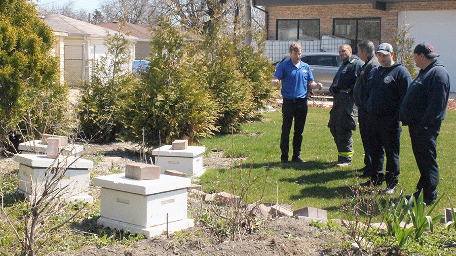bee hives at Wild Blossom Meadery